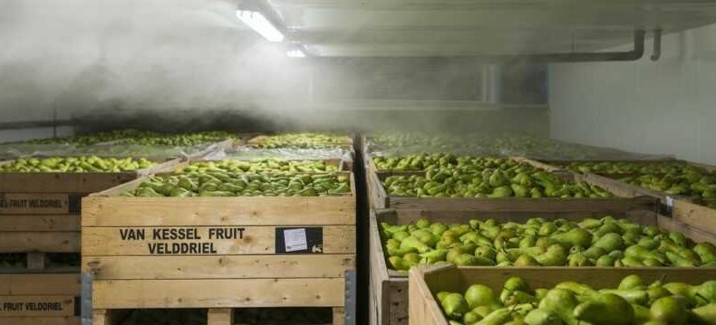 Zvlhčovanie Priemyselné zvlhčovanie PROFIFOG ZVLHČOVANIE SKLENNÍKOV ZVLHČOVANIE VÍNNYCH PIVNÍC ZVLHČOVANIE V SUPERMARKETOCH ZVLHČOVANIE CHLADIARENSKÝCH SKLADOV ZVLHČOVANIE V TEXTILNOM PRIEMYSLE ZVLHČOVANIE V AUTOMOBILOVOM PRIEMYSLE ZVLHČOVANIE V ELEKTROTECHNICKOM PRIEMYSLE